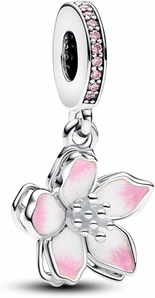 Set de Joyería Pandora — foto 1